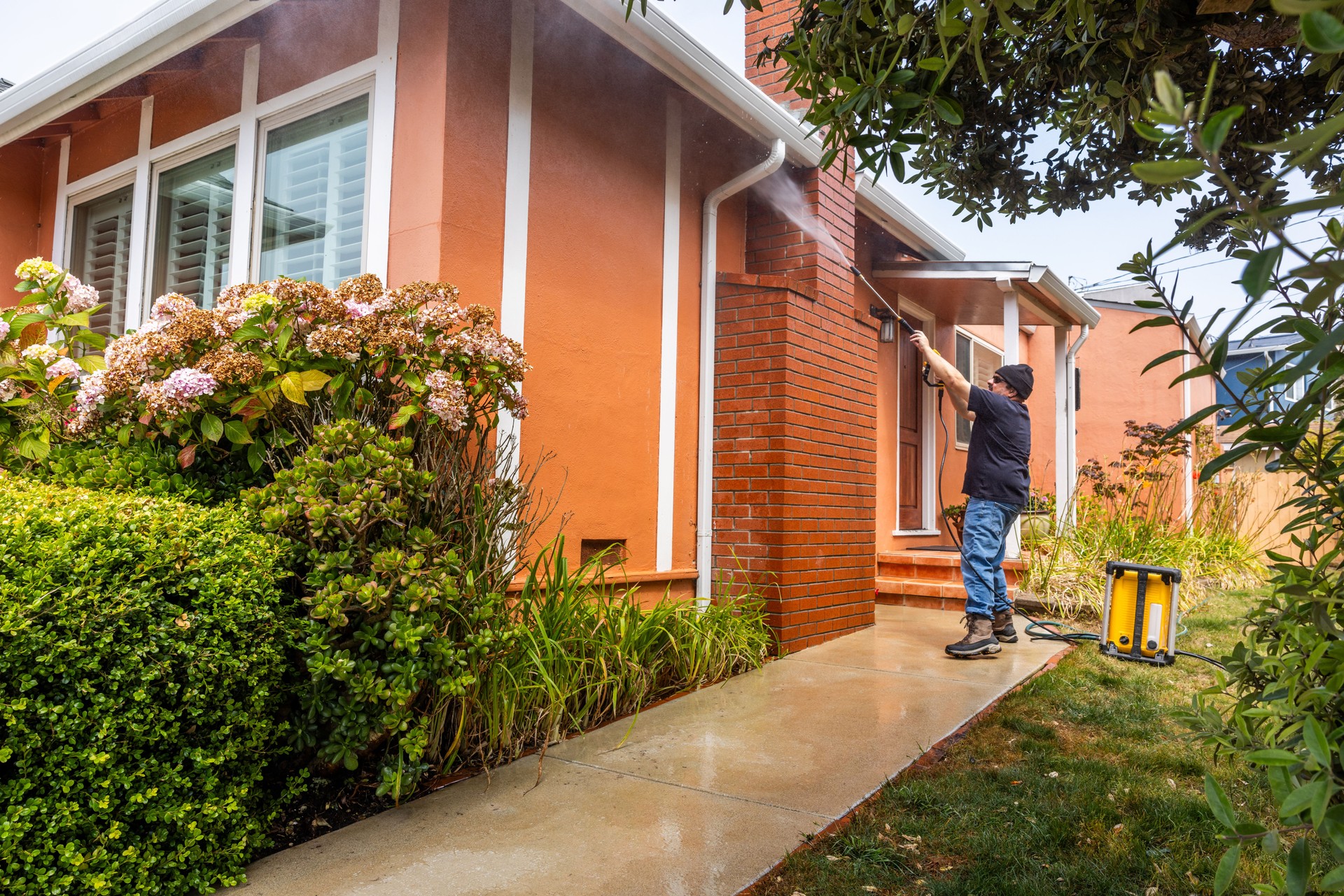 Exterior Stain Removal